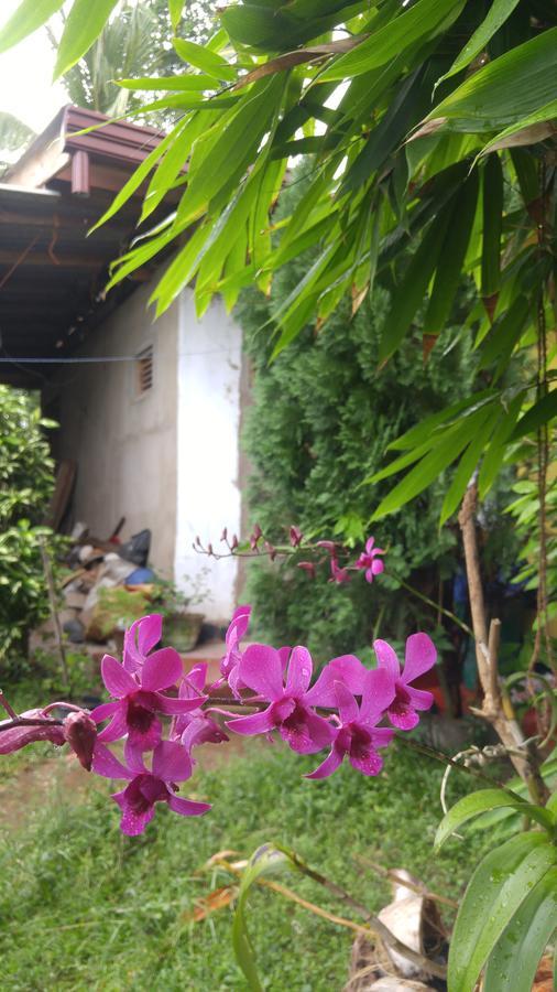 Ananda Home Stay And Restaurant Tangalle Εξωτερικό φωτογραφία